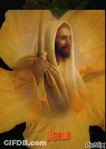 Jesus Is Standing In Front Of A Large Yellow Flower And Holding A Stick . GIF