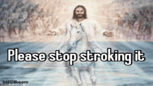 Jesus Riding Unicorn Please Stop Stroking It GIF