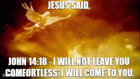 Jesus Said That He Will Not Leave You Comfortless GIF