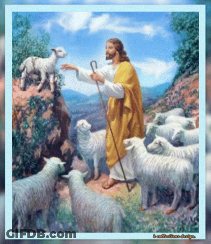 Jesus Surrounded By Herd Of Sheep With Blue Frame GIF