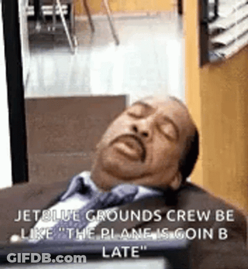 Jet Blue Security Sleeping Stanley The Office GIF