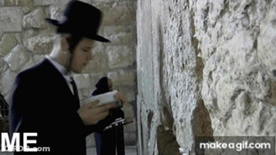 Jew Praying At The Wall GIF