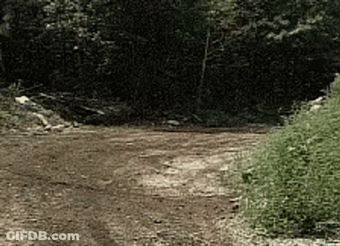Jew Riding Motorcycle GIF