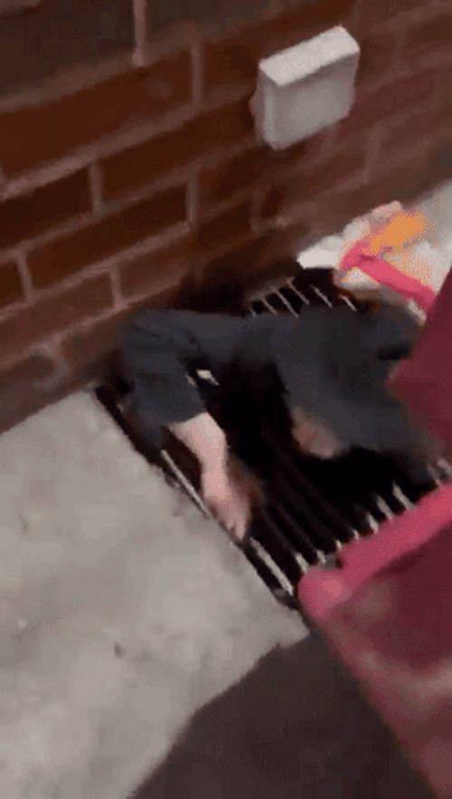Jew Secret Under Tunnel GIF