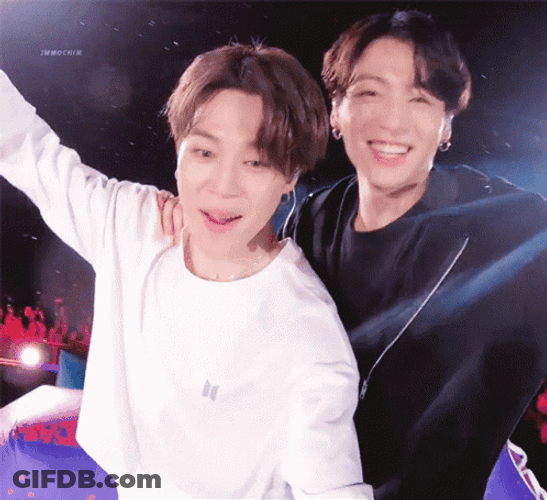 Jikook Concert Selfcam GIF