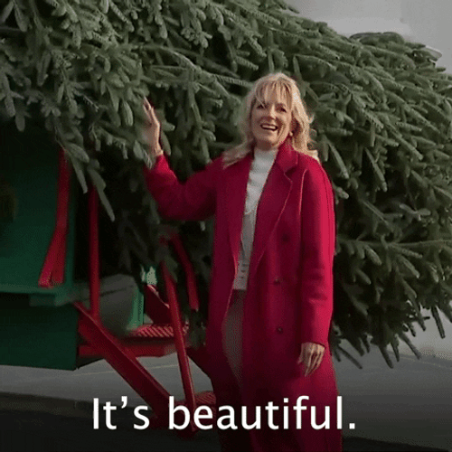 Jill Biden It's Beautiful GIF