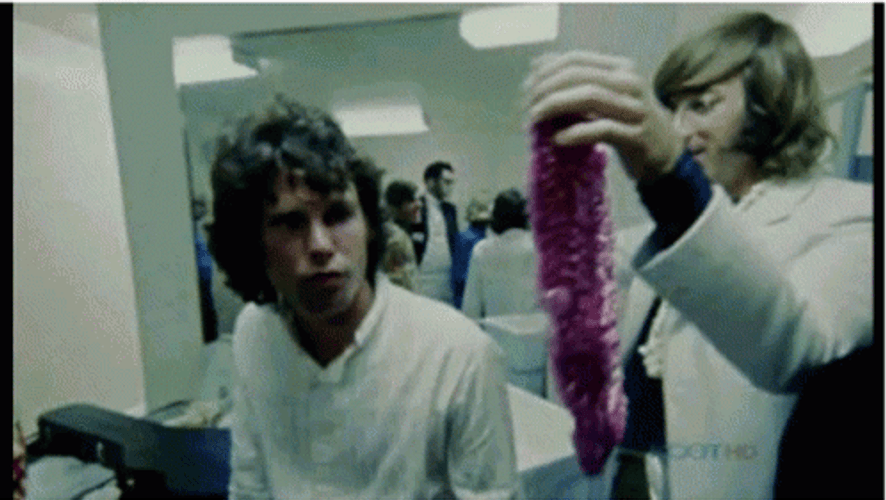Jim Morrison With Band Member GIF