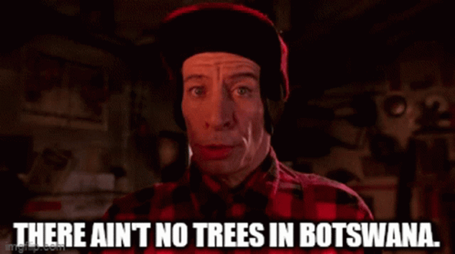 Jim Varney Ernest Worrell Botswana GIF