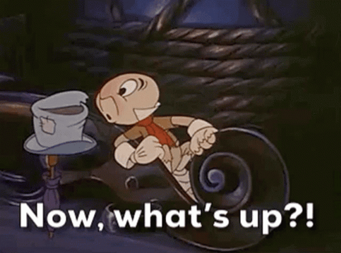 Jimmy Cricket Now What's Up GIF