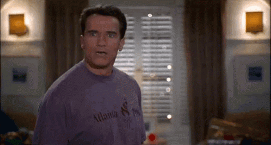Jingle All The Way Arnold Schwarzenegger Pat Head GIF