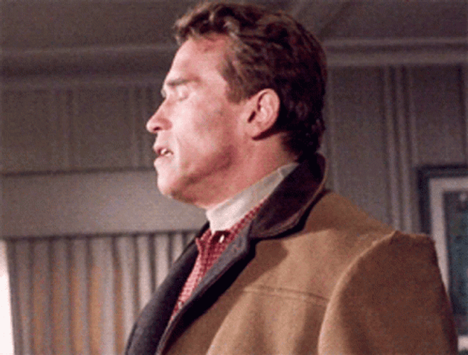 Jingle All The Way Arnold Schwarzenegger Shocked Reaction GIF