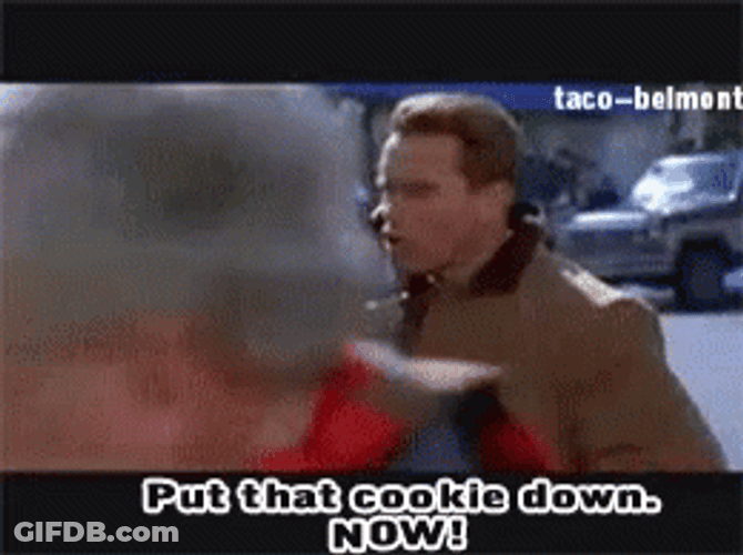 Jingle All The Way GIF