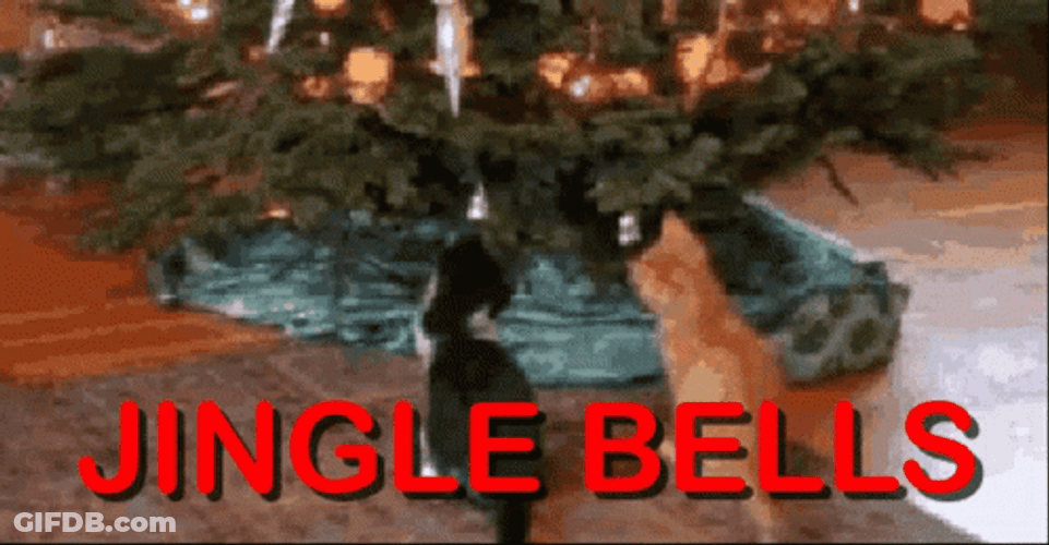 Jingle All The Way With 3 Cats GIF