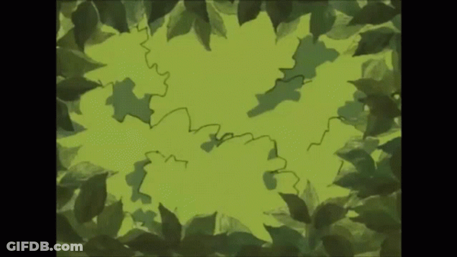 Jiraiya Take A Peek GIF