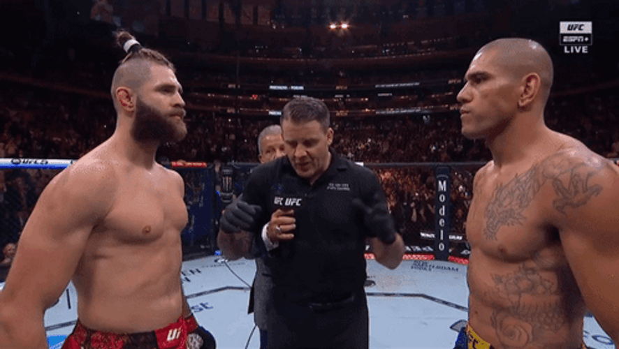 Jiri Prochazka Fist Bump Alex Pereira GIF