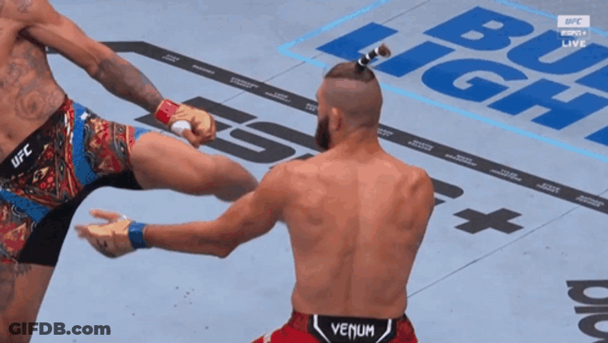 Jiri Prochazka Getting Kicked GIF