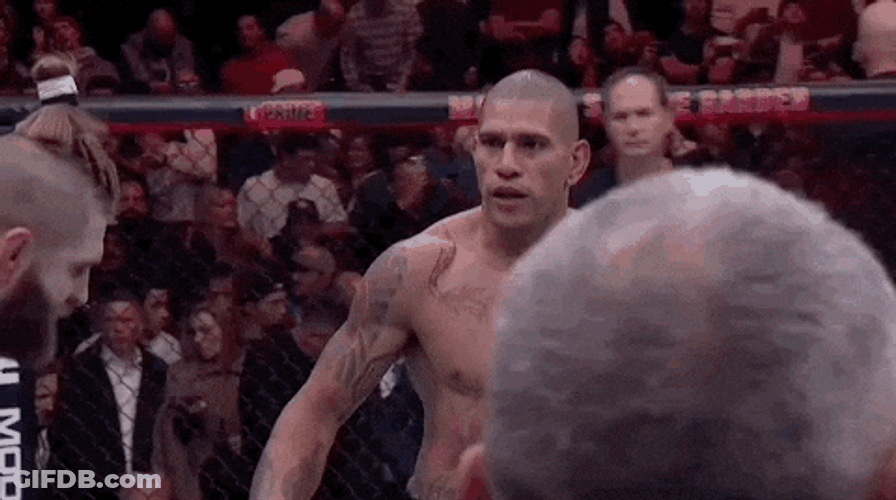 Jiri Prochazka Shake Hands With Alex Pereira GIF
