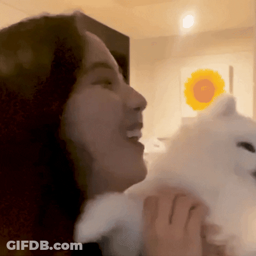 Jisoo Hugging Dogs GIF