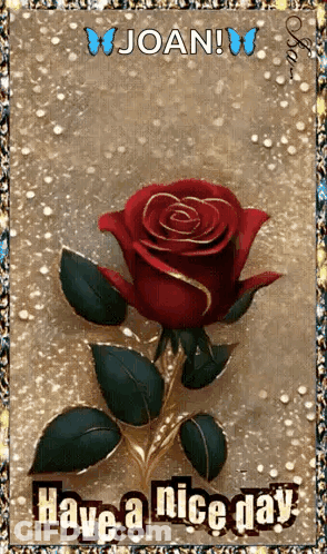 Joan Have A Nice Day With Red Rose And Butterflies GIF
