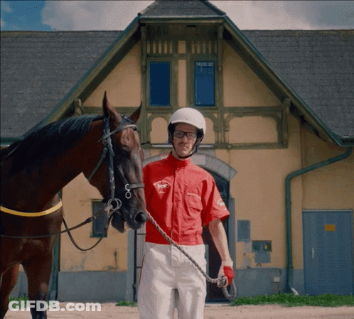 Jockey Next To Horse Wearing Racing Shirt GIF