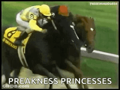 Jockey Riding Horse In Preakness Race GIF