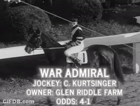 Jockey Riding Horse Number 1 GIF