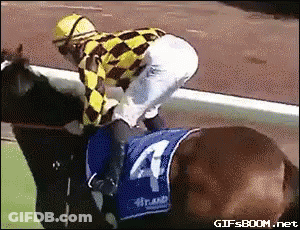 Jockey Riding Horse Number 4 GIF