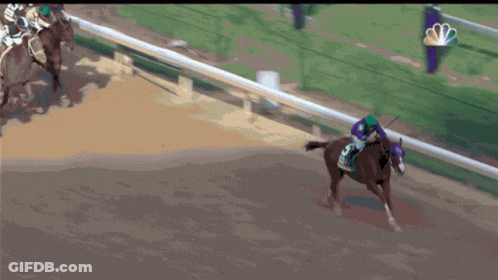 Jockey Riding Horse Number 5 GIF