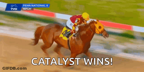 Jockey Riding Winning Race Horse GIF