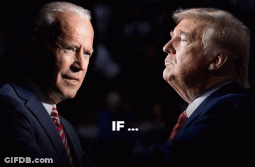 Joe Biden And Donald Trump Standing Next To Each Other Voting For GIF