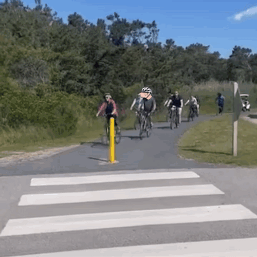 Joe Biden Falling On Bike Face Swap GIF