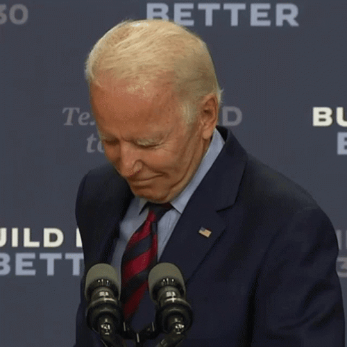 Joe Biden Have Mercy GIF
