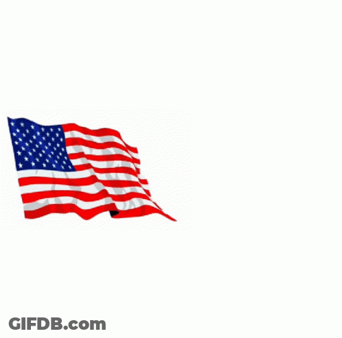 Joe Biden Poster With American Flag And Fist GIF
