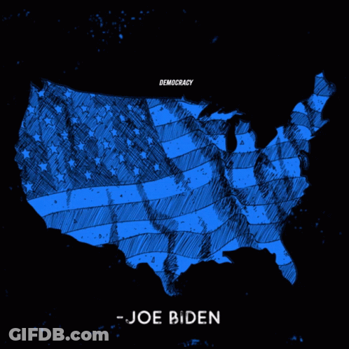 Joe Biden Quote Democracy Must Not Be A Partisan Issue It Must Be An American Issue GIF