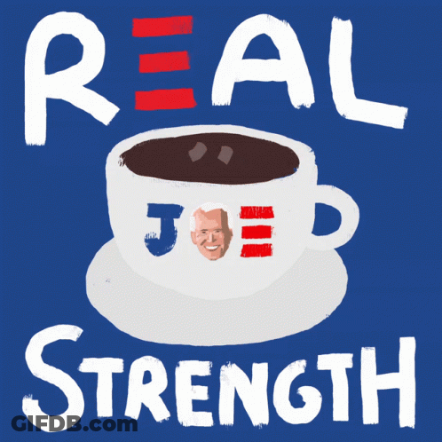 Joe Biden Vp Biden GIF