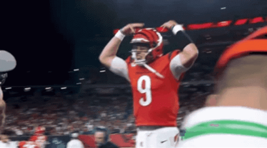 Joe Burrow Angry GIF