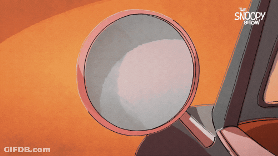 Joe Cool Mirror Reflection GIF