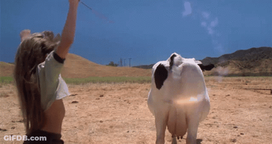 Joe Dirt Kid Playing Cow's Tail GIF