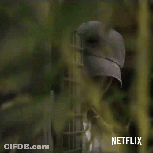 Joe Goldberg Hiding Watching From Afar GIF