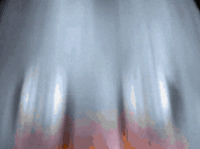 Joe Mama Duck Meme GIF