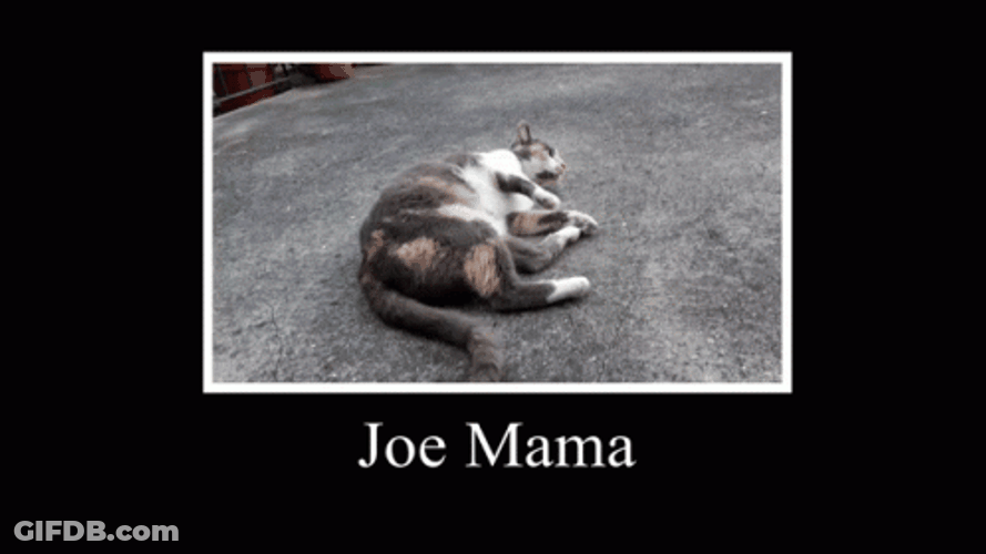Joe Mama Rolling Cat Memes GIF