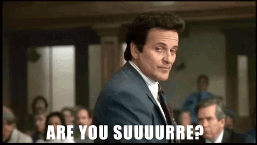 Joe Pesci Are You Sure About That GIF