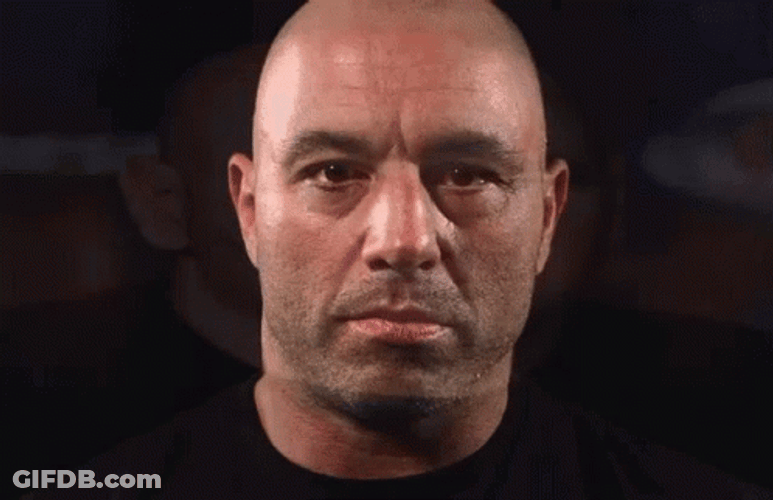 Joe Rogan And Dana White GIF