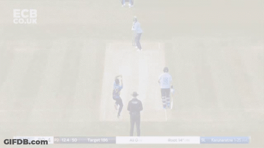 Joe Root Cover Drive Cricket GIF