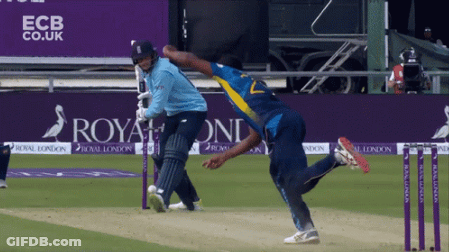 Joe Root Cricket Batting Hit GIF