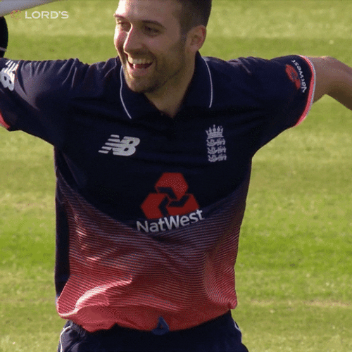 Joe Root Mark Wood Jump Celebration GIF