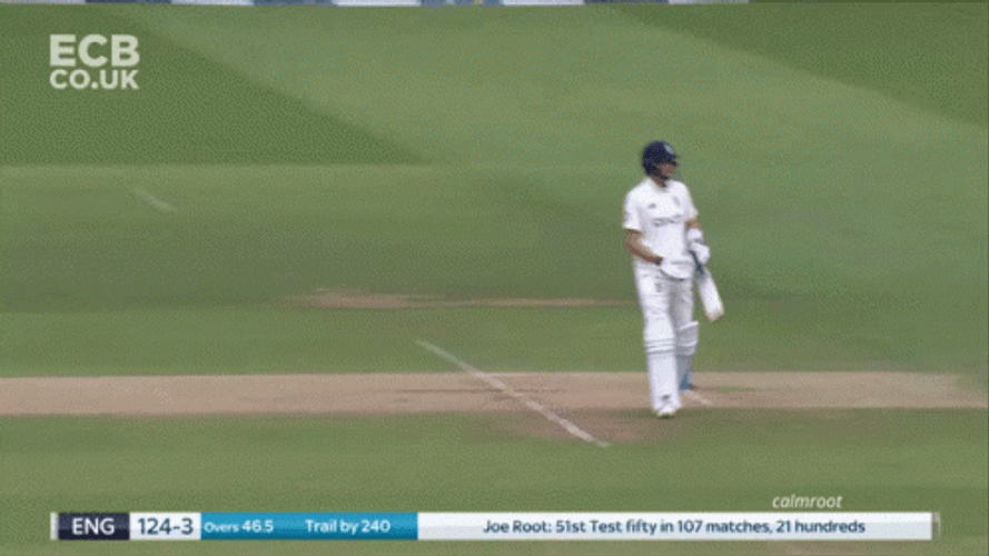 Joe Root Test Cricket Match GIF