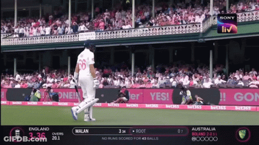 Joe Root Walk Out Field GIF