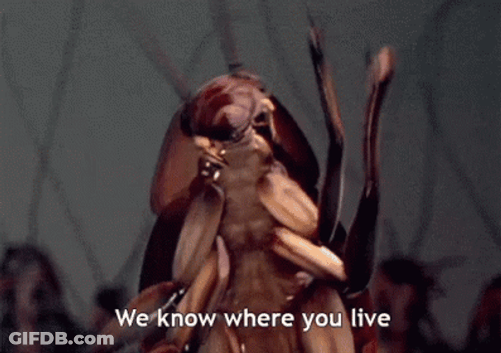 Joe's Apartment Insect GIF