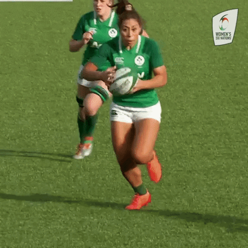 Joe Schmidt Womens Rugby GIF